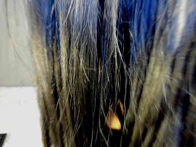 Blueeeediamond