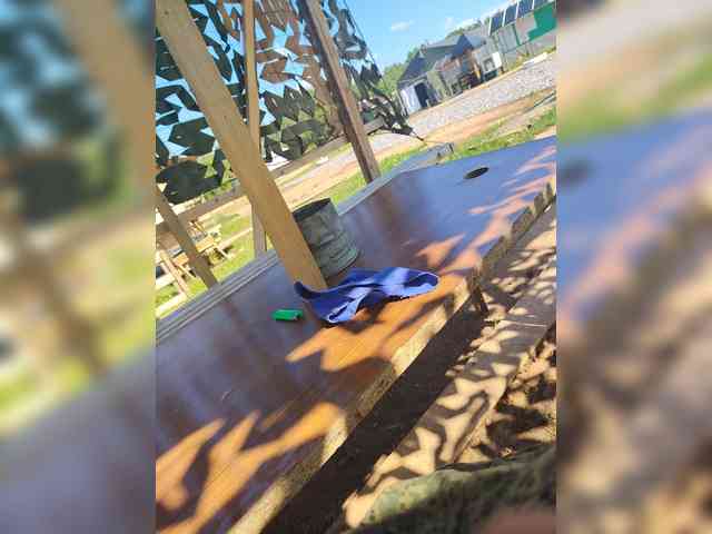 Chlen86