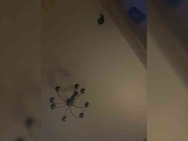 keit6969 Live Webcam on BongaCams