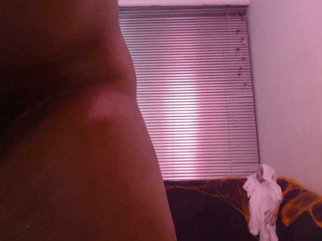 23velvet live cam on BongaCams