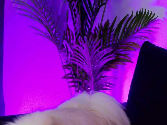 NayaQuinn live cam on BongaCams