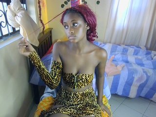 Ambrosiana's Live Webcam