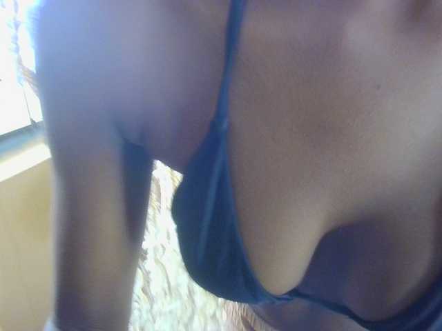 Ambrosiana live webcam show