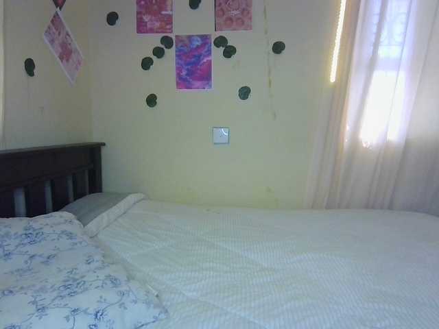Ambrosiana live cam on BongaCams