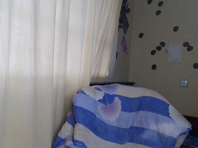 Ambrosiana live cam on