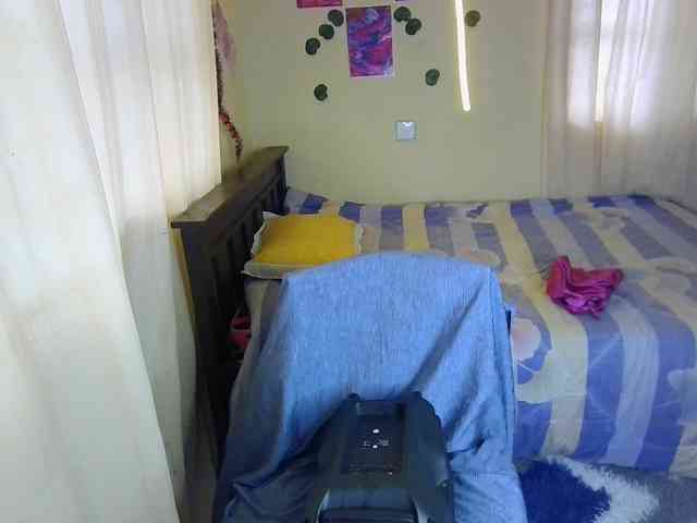 Ambrosiana webcam