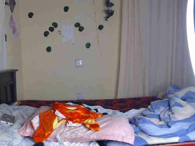 Ambrosiana webcam