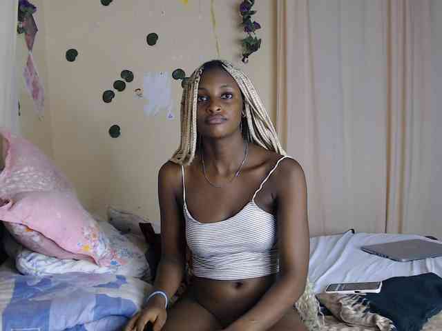 Ambrosiana webcam