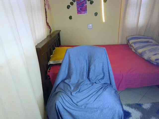 Ambrosiana webcam