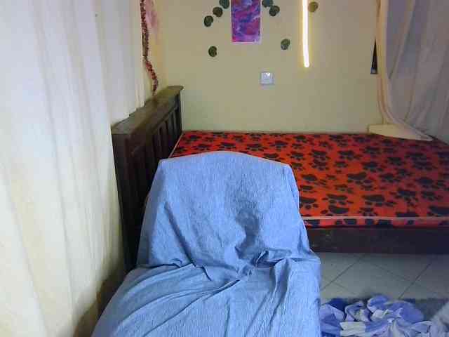 Ambrosiana webcam