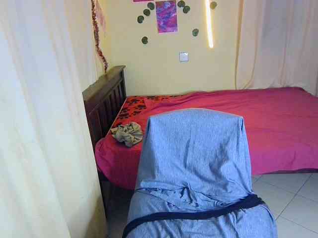 Ambrosiana webcam