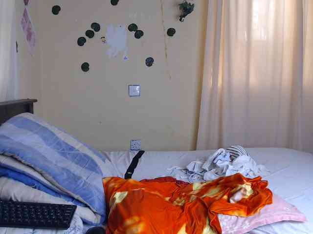 Ambrosiana webcam
