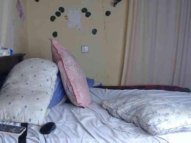 Ambrosiana webcam