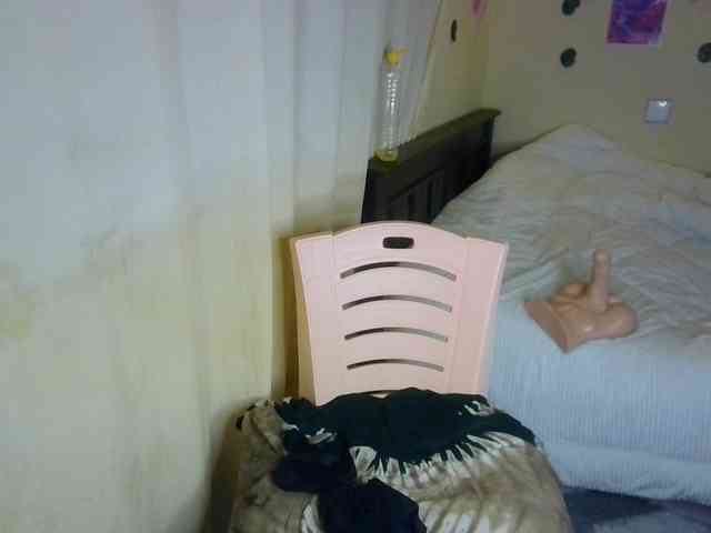 Ambrosiana webcam