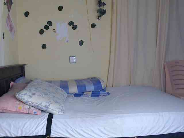 Ambrosiana webcam