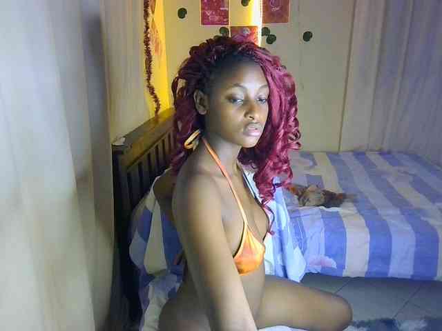 Ambrosiana webcam