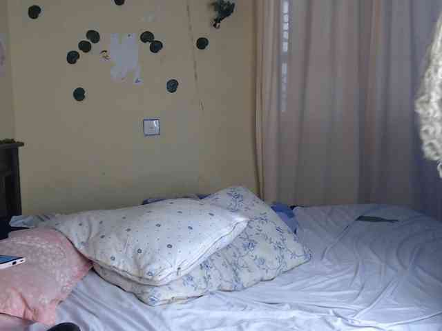 Ambrosiana webcam