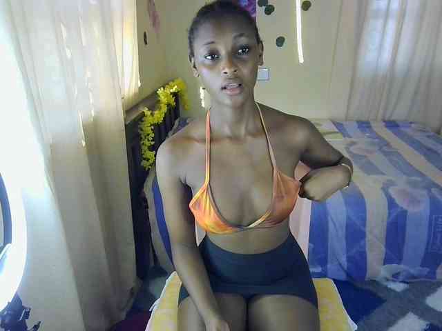 Ambrosiana webcam