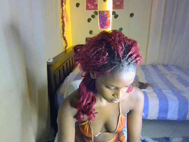Ambrosiana webcam