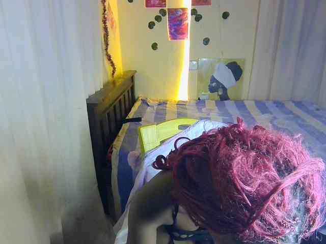 Ambrosiana webcam