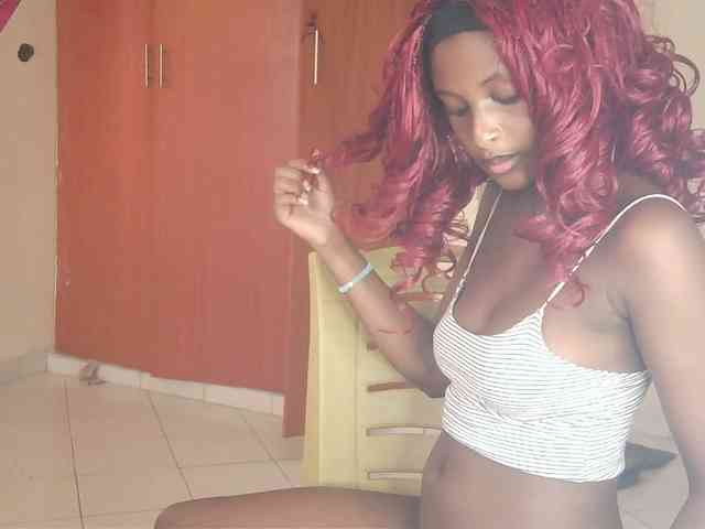 Ambrosiana webcam