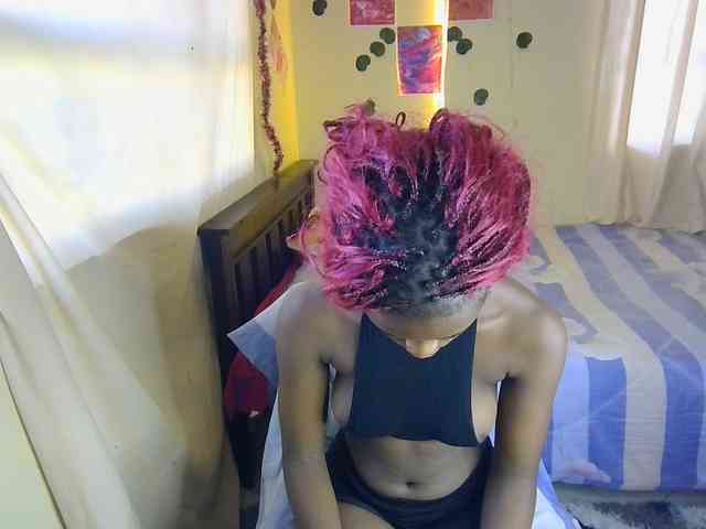 Ambrosiana webcam