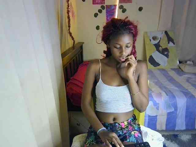 Ambrosiana webcam