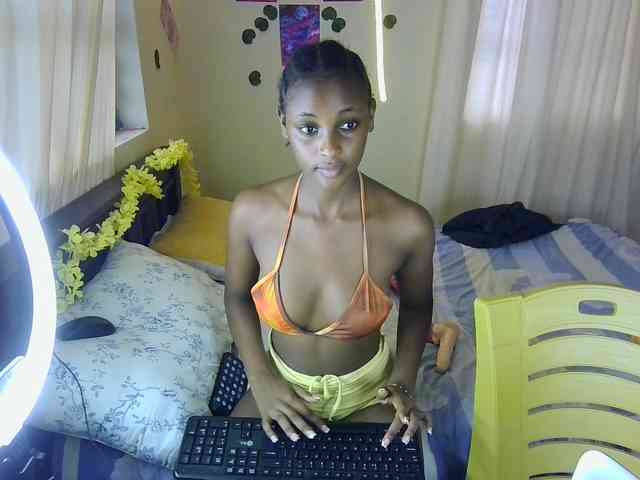 Ambrosiana webcam