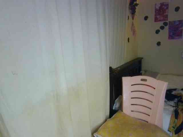 Ambrosiana webcam