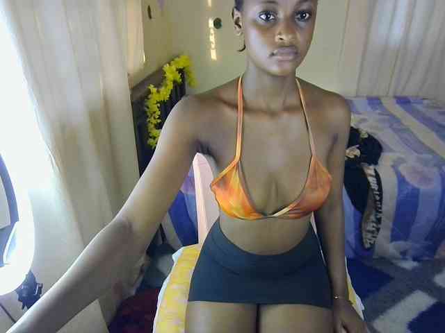 Ambrosiana webcam