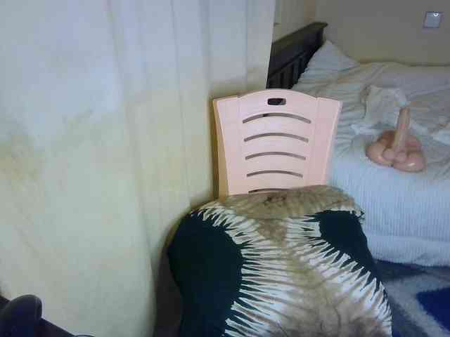 Ambrosiana webcam