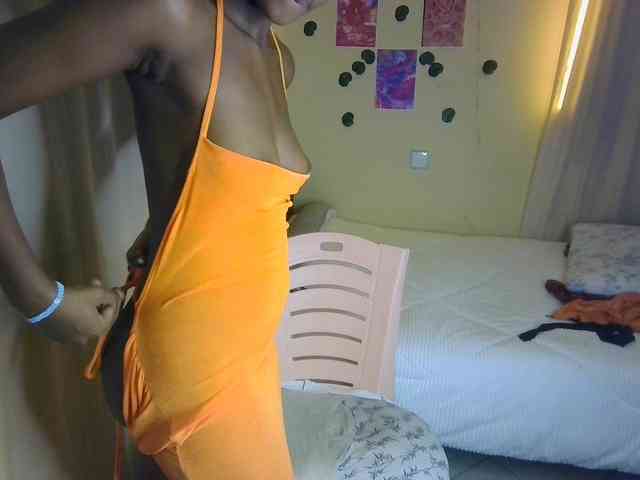 Ambrosiana webcam