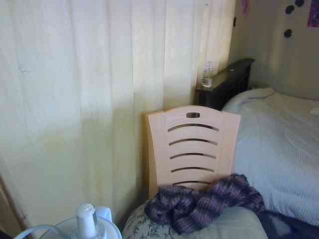 Ambrosiana webcam