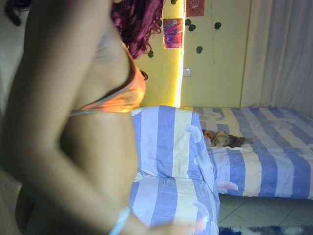 Ambrosiana webcam
