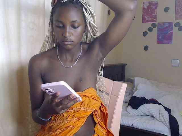 Ambrosiana webcam