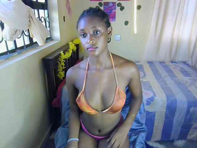 Ambrosiana webcam