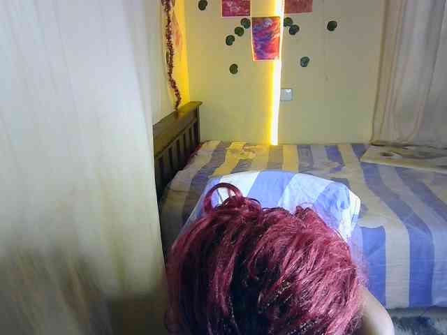 Ambrosiana webcam