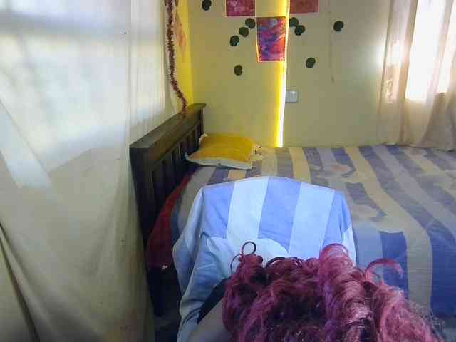 Ambrosiana webcam