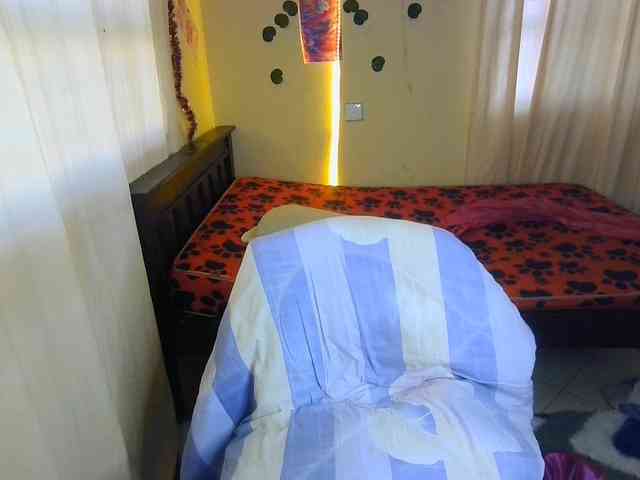 Ambrosiana webcam
