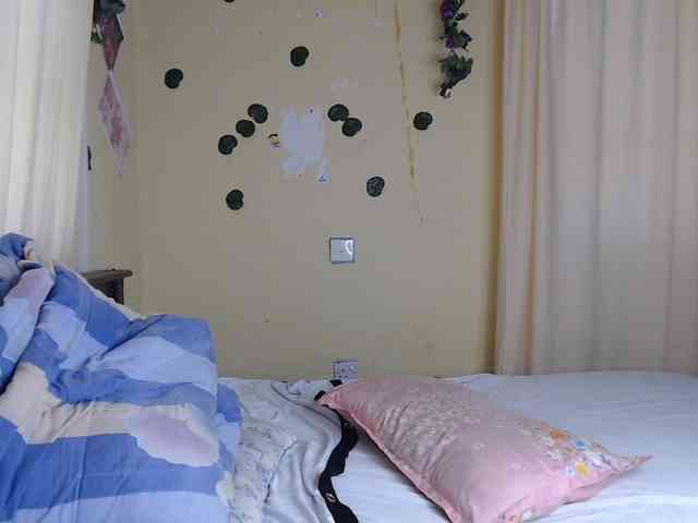 Ambrosiana webcam