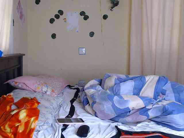 Ambrosiana webcam