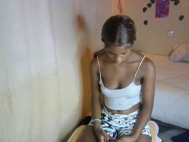 Ambrosiana webcam
