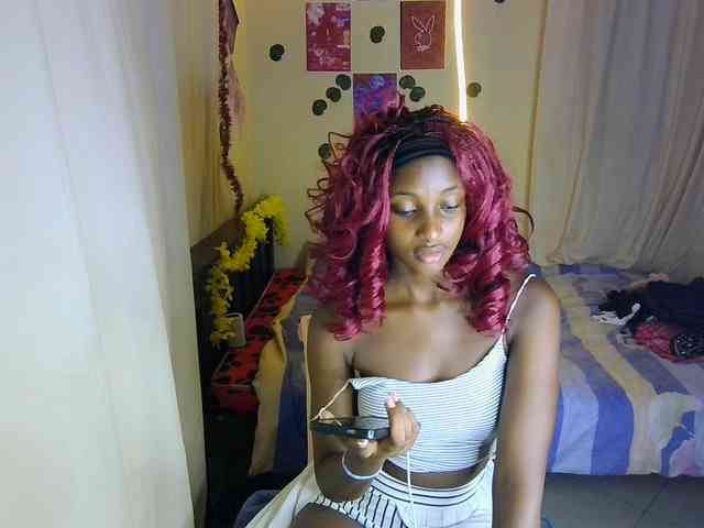 Ambrosiana webcam