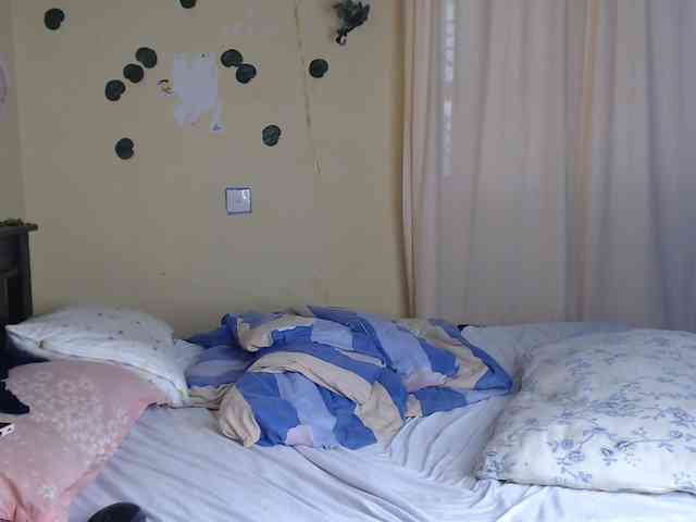Ambrosiana webcam