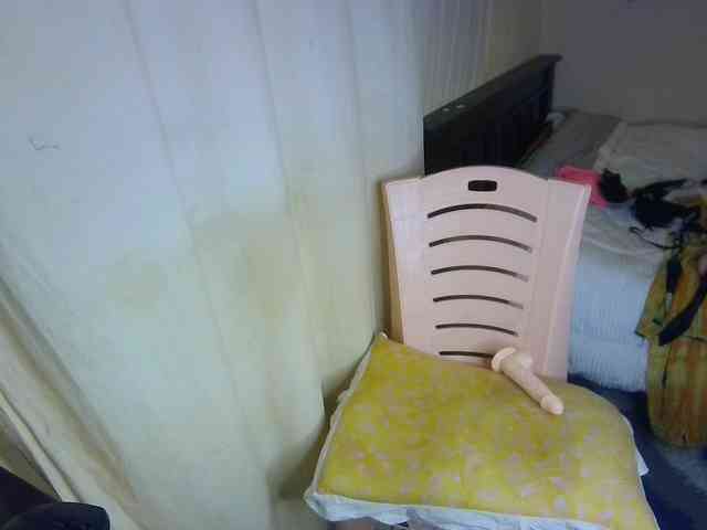 Ambrosiana webcam