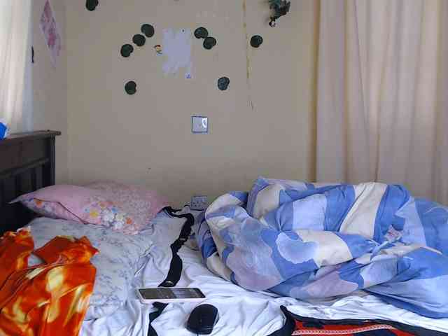 Ambrosiana webcam