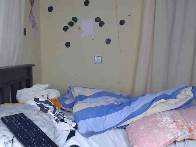 Ambrosiana webcam