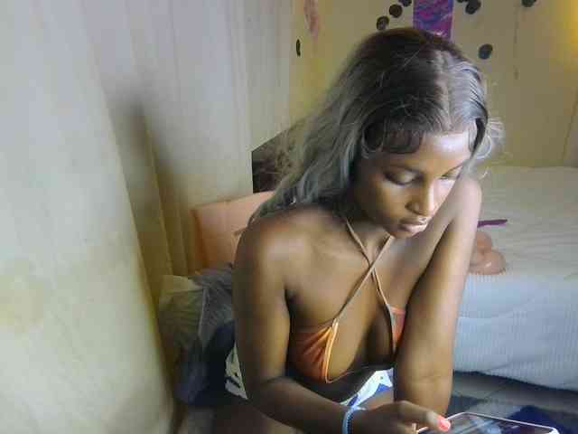 Ambrosiana webcam