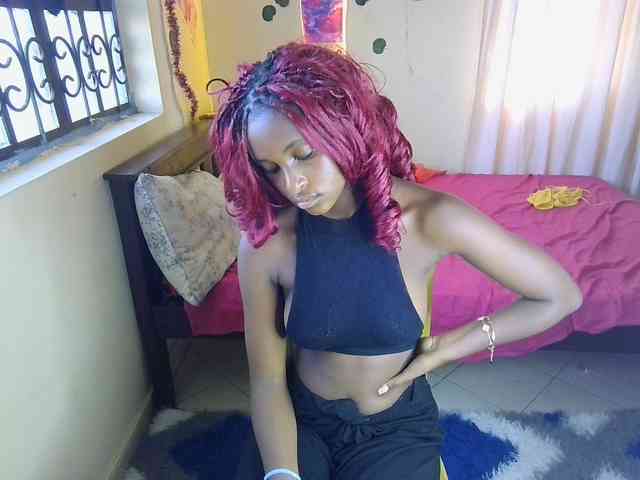 Ambrosiana webcam