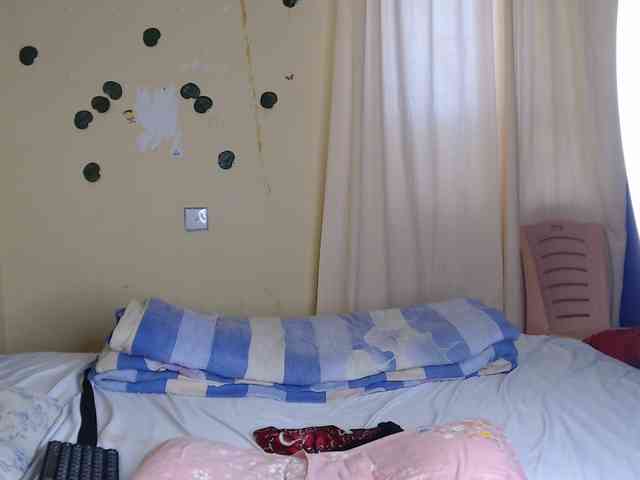 Ambrosiana webcam